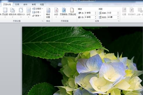 word怎么把图片设为背景的两种方法
