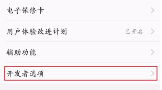 分享vivonex双屏版中打开开发者选项的具体操作步骤。