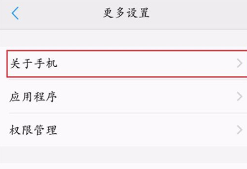 分享vivonex双屏版中打开开发者选项的具体操作步骤。