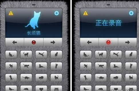人猫交流器app使用的详细讲解