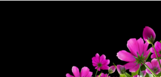 PhotoShop如何制作遮罩图