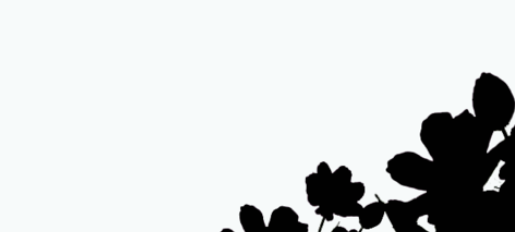 PhotoShop如何制作遮罩图