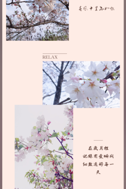 我来分享简拼APP添加文字的详细操作讲解。