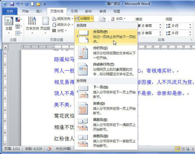 小编教你word2010插入分页符的图文教程方法。