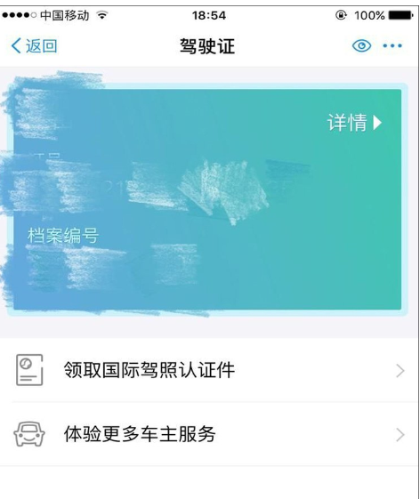 支付宝如何领取国际驾照 支付宝领取国际驾照教程