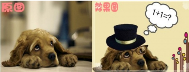 分享可牛影像如何打造可爱萌宠。