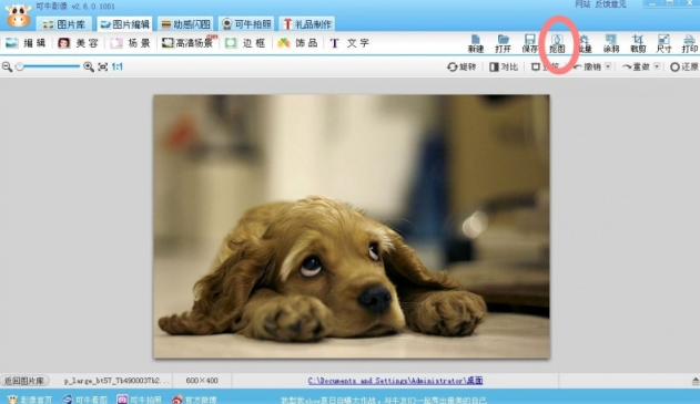 分享可牛影像如何打造可爱萌宠。