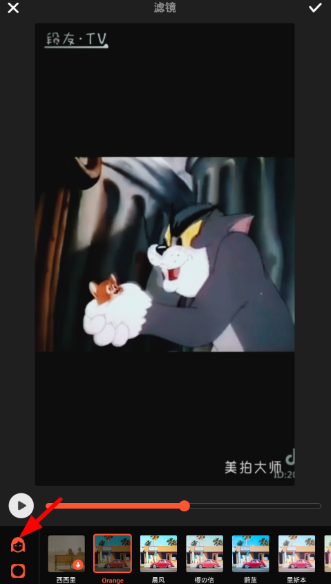 分享美拍大师中将美颜开启的详细步骤。