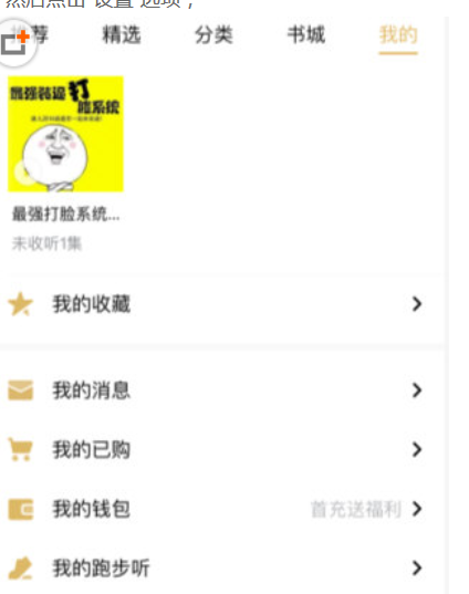 点击“设置”选项