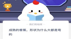 成熟的香蕉形状为什么大都是弯的?蚂蚁庄园今日课堂答题答案