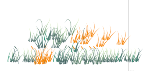 cdr绘画草地效果图的操作步骤