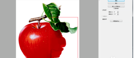 Photoshop中的液化滤镜