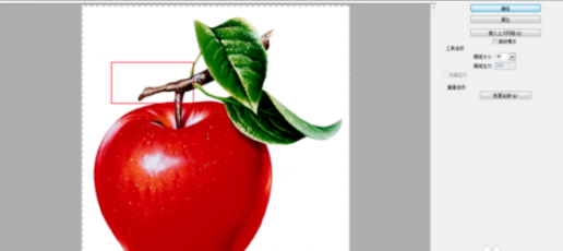 Photoshop中的液化滤镜