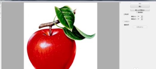 Photoshop中的液化滤镜