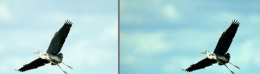 光影魔术手中色阶的使用方法