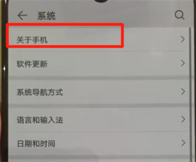 华为p30pro中将开发人员选项打开的具体操作方法