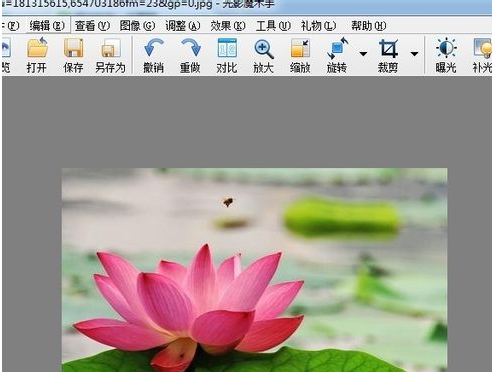 如何用光影魔术手的特效给照片增加柔光
