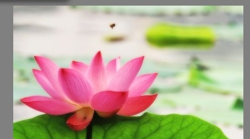 如何用光影魔术手的特效给照片增加柔光