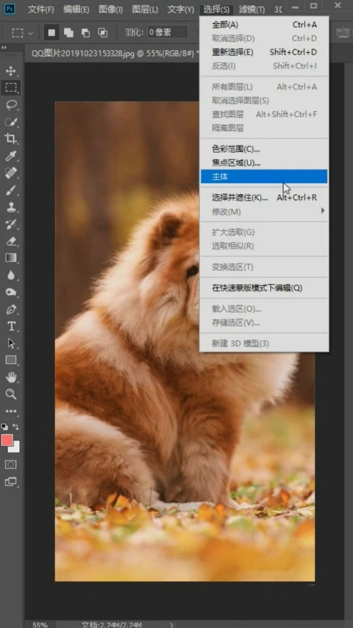 Photoshop怎么抠狮子狗?Photoshop抠狮子狗教程