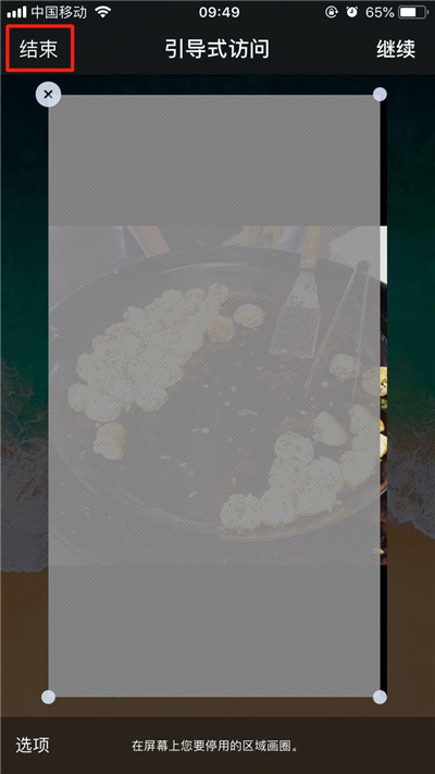 苹果手机退出引导式访问的方法介绍