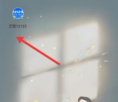 交管12123预留电话号码怎么更改？交管12123预留手机号修改方法