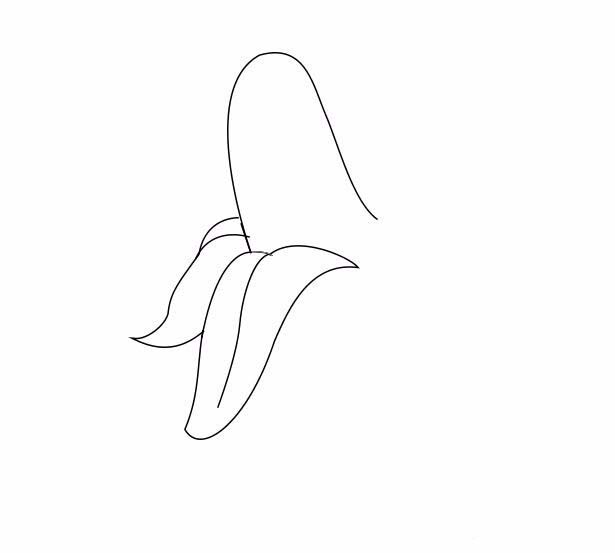 ps怎么画香蕉简笔画? ps钢笔工具画香蕉的教程