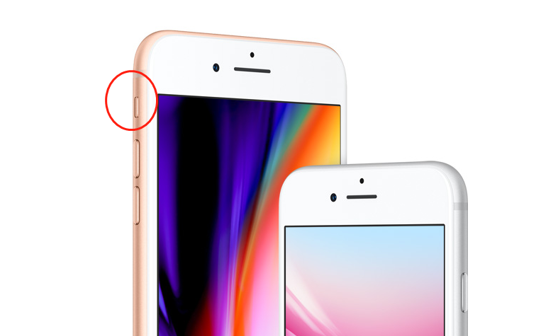 分享iphone8中关掉相机声音的具体流程。