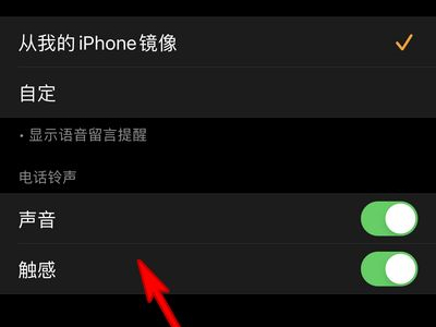 apple watch怎么改铃声？apple watch改铃声教程