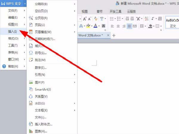分享wps插入画布的简单教程方法分享。