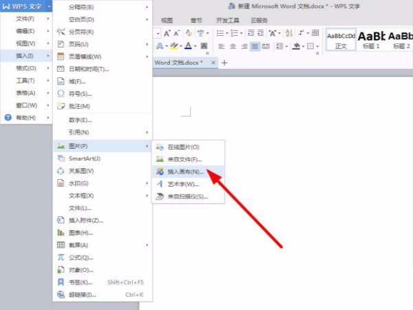 分享wps插入画布的简单教程方法分享。