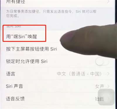 我来分享ios12中开启siri的具体操作方法介绍。