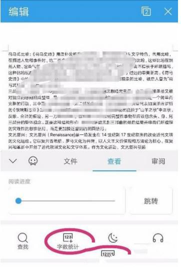 我来教你手机版WPS查看文档字数的操作流程。