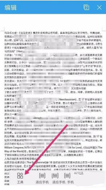 我来教你手机版WPS查看文档字数的操作流程。