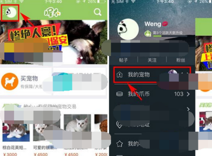小编教你握爪宠物app中添加宠物的具体操作流程。