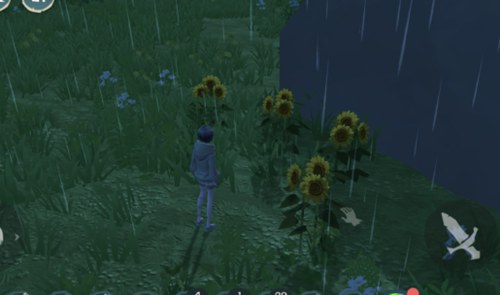 我来教你《创造与魔法》中获取向日葵的详细攻略。