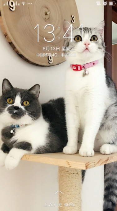 教你oppoa79手机换壁纸的操作过程。