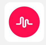 我来分享muse中使用倒拍功能的具体操作流程。