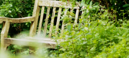 snagit软件怎么调整图片率等