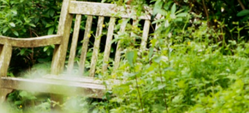 snagit软件怎么调整图片率等