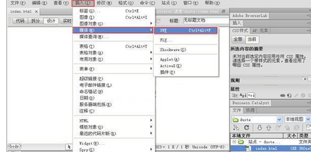 Dreamweaver插入flash动画的详细方法