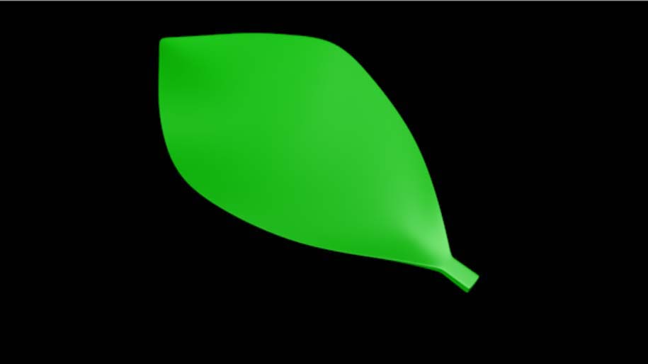C4D设计一片绿色叶子的方法步骤