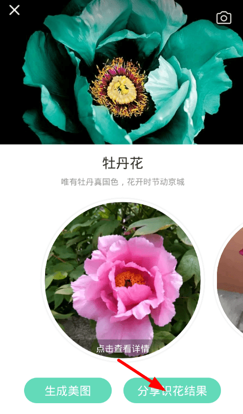 教你使用形色软件分享植物故事的操作过程。