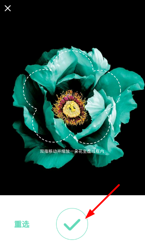 教你使用形色软件分享植物故事的操作过程。