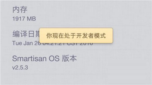 关于坚果pro2s中设置开发者选项的详细操作流程。