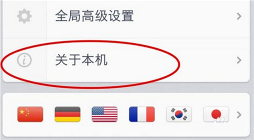 关于坚果pro2s中设置开发者选项的详细操作流程。