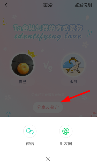 我来教你准了app中鉴定爱情的详细操作步骤。