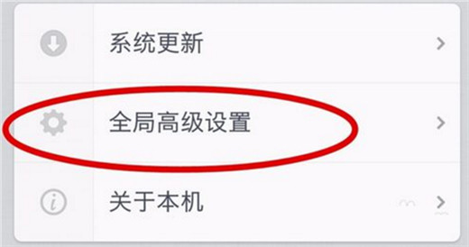 关于坚果pro2s中设置开发者选项的详细操作流程。