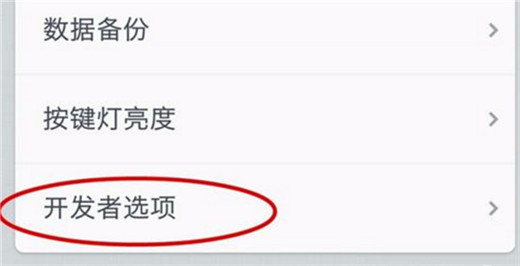 关于坚果pro2s中设置开发者选项的详细操作流程。